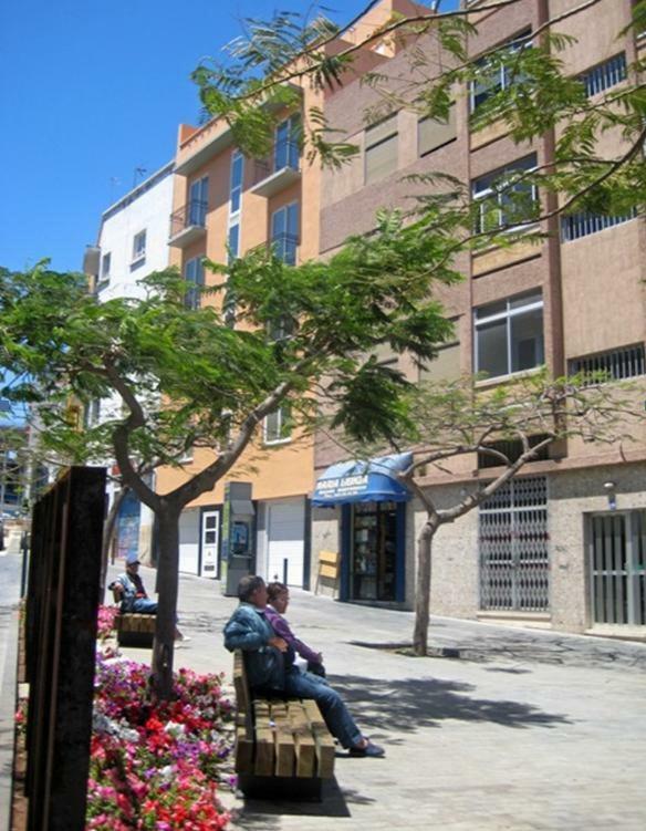 S/C De Tenerife, Apartamento 1 Dormitorio Santa Cruz de Tenerife Eksteriør bilde